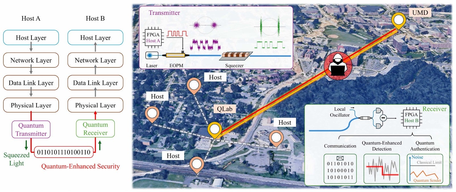 Quantum-enhanced optical network
