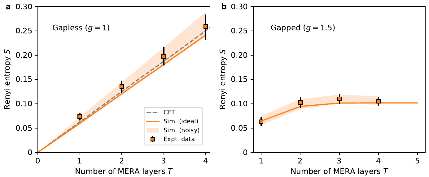 Log-area-law and area-law scaling of entanglement entropy for critical and gapped transverse Ising chains observed on an ion-trap quantum computer.