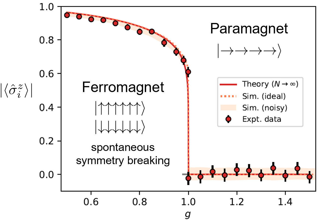 Observation of Ising quantum phase transition.