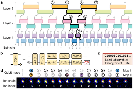 Experimental realization of multiscale entanglement renormalization for the simulation of strongly correlated quantum matter