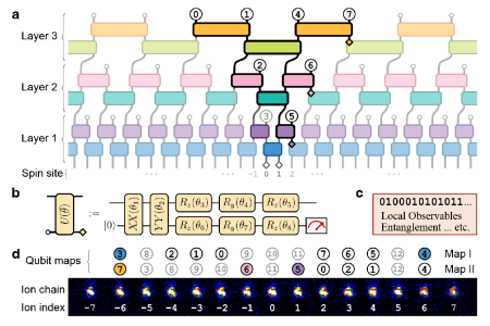Experimental realization of multiscale entanglement renormalization for the simulation of strongly correlated quantum matter.
