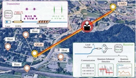 Quantum-enhanced optical network